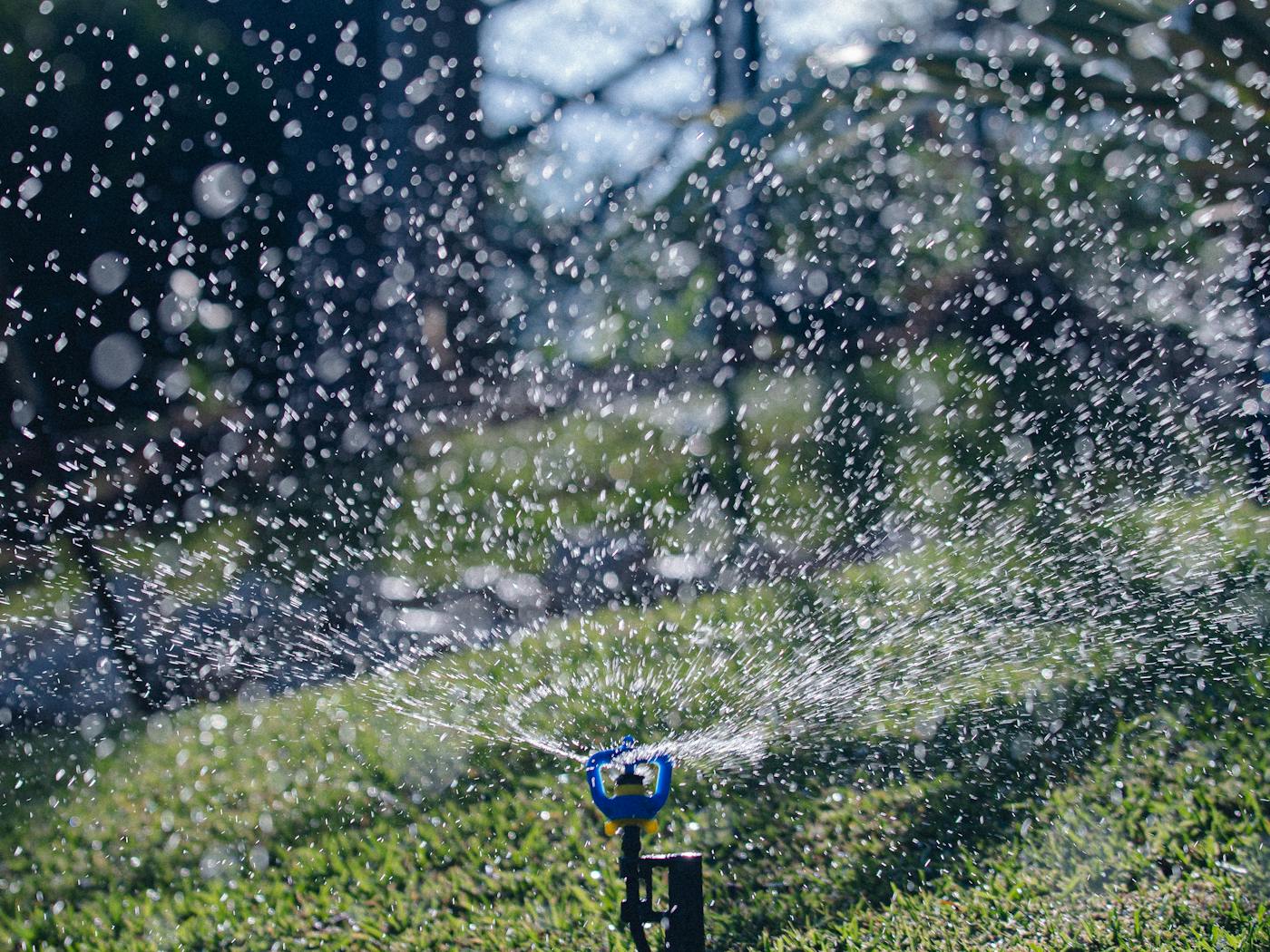 Garden sprinkler running in a yard