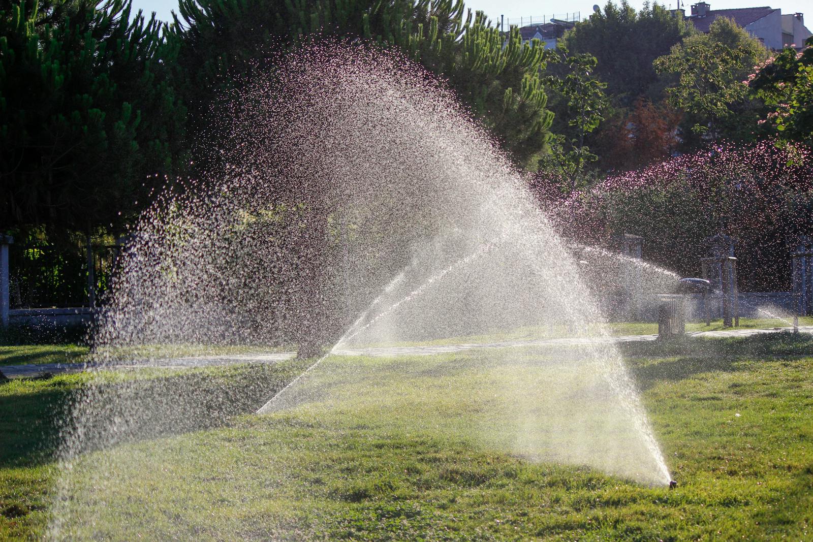 In-ground sprinkler head watering green grass